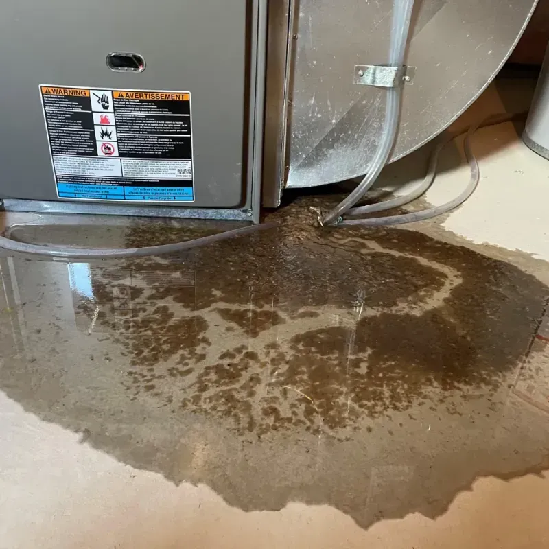 Appliance Leak Cleanup in Trentwood, WA